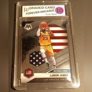2020-21 Panini Mosaic LEBRON JAMES National Pride #247